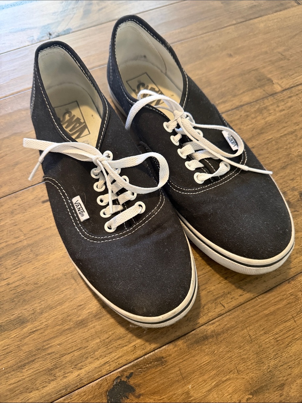 Vans Black Canvas Low-Top Sneakers with White Laces